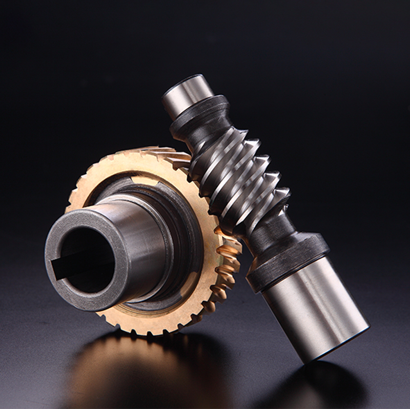 高精密定制双导程蜗轮蜗杆加工0.5模-6模高精密蜗轮蜗杆厂家